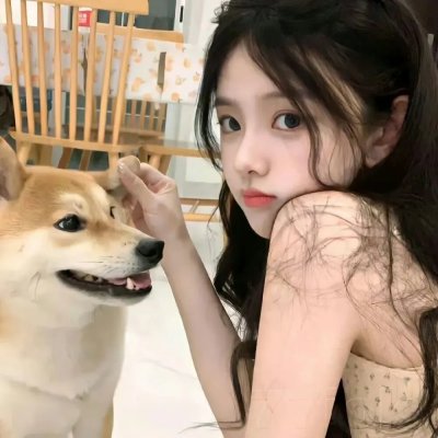 特洛伊艾迪
